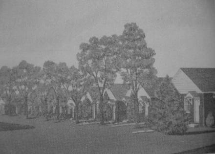 Hardmanns Cottages Baltimore