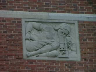 Western High School stone work